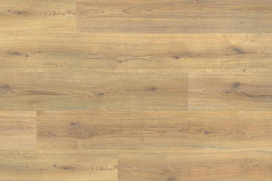 Series Woods 8mm Laminate Flooring Nature Oak