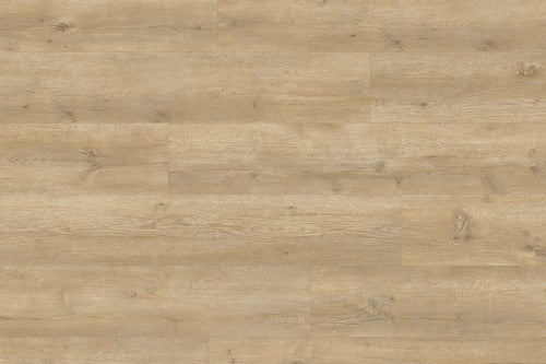 Spectra Luxury Acoustic Rigid Core Click Vinyl Flooring Latte Oak Plank Built-In Underlay