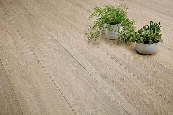 Audacity 12mm Laminate Summer Hill Oak Built-in Underlay