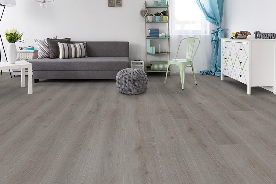 Series Woods 10mm Laminate Flooring Wild Dove Oak