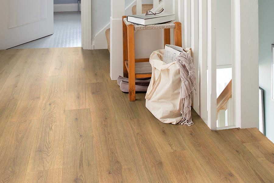 Series Woods 8mm Laminate Flooring Nature Oak