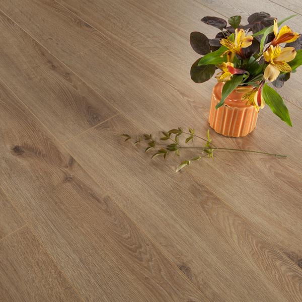 Series Woods Professional 10mm Laminate Flooring Light Oak