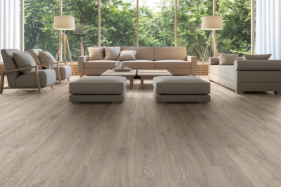 Series Woods 12mm Laminate Flooring Mist Oak