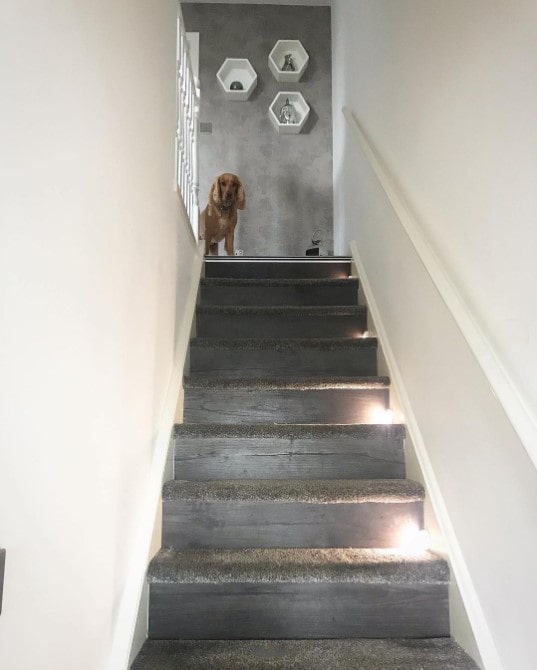 Can You Laminate Stairs?